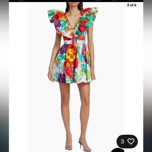 NWT LDT Evelyn Floral Cotton Mini Dress 4 $255